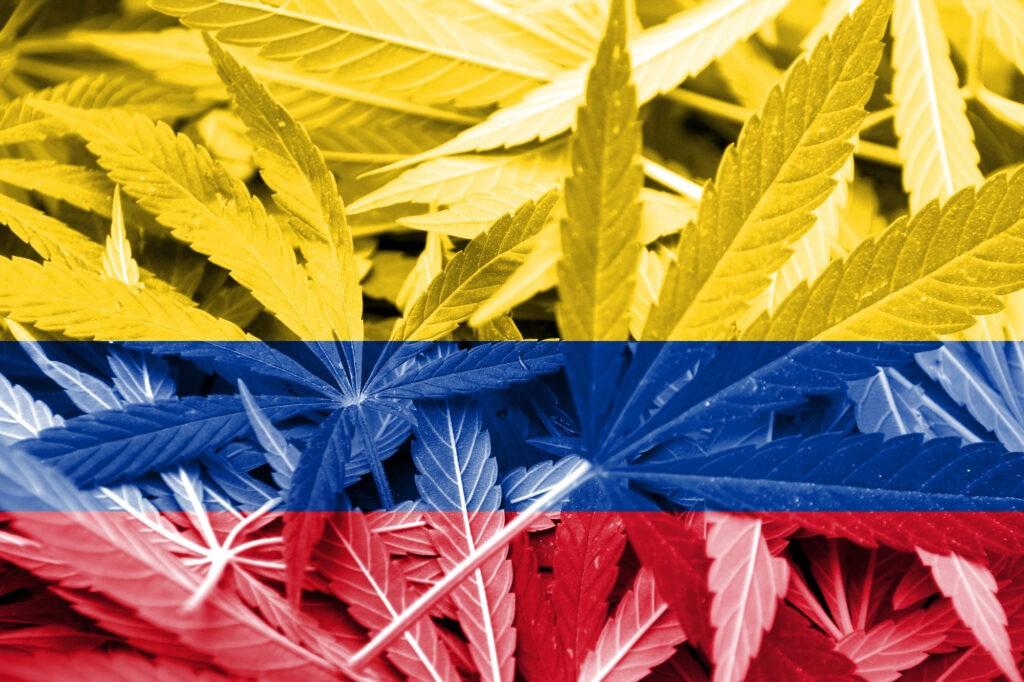themarijuanaherald.com
