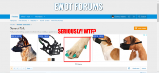 Dog-Advert.png
