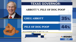 Texas-Governor-Race.png