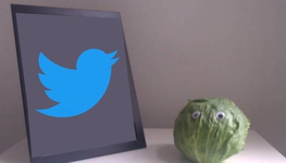 1667646030166.png